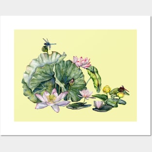 Japanese Water Lillies and Lotus Flowers Posters and Art